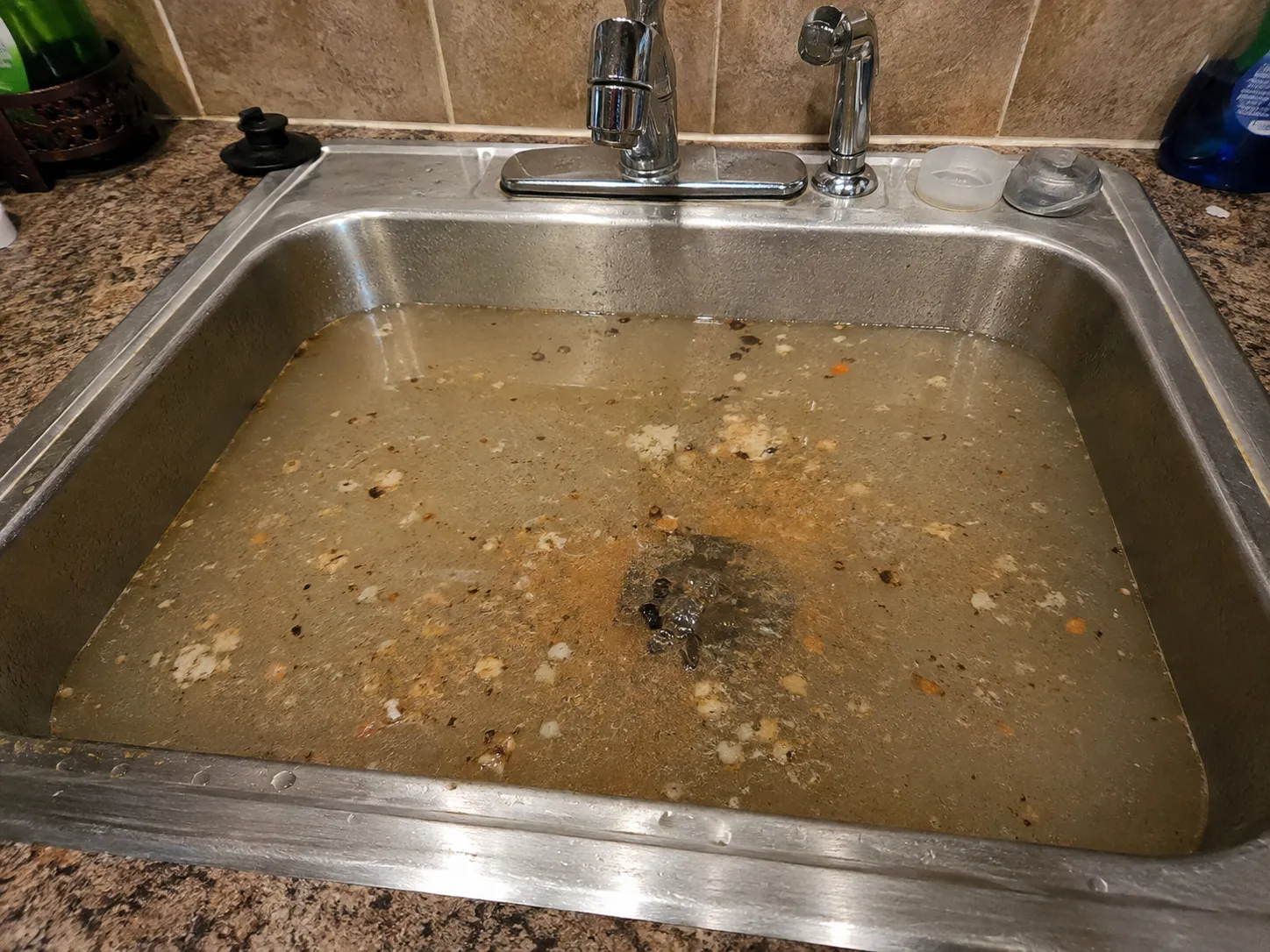 Kitchen sink backed up with murky gray water