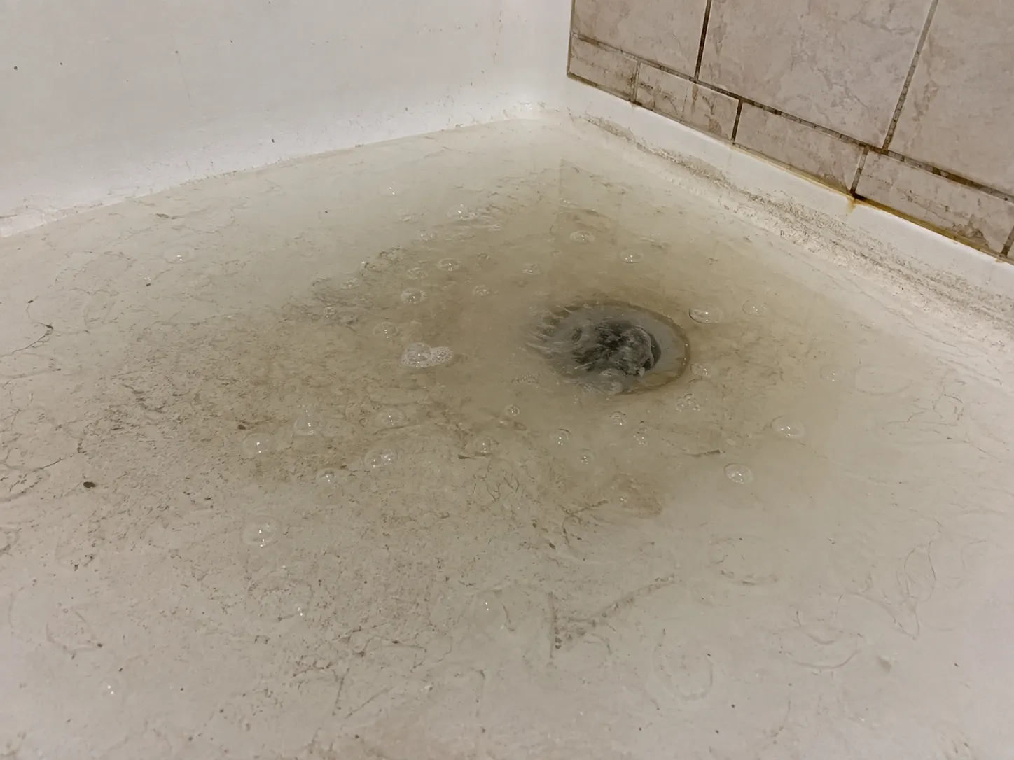 Shower base with murky water pooled over the drain